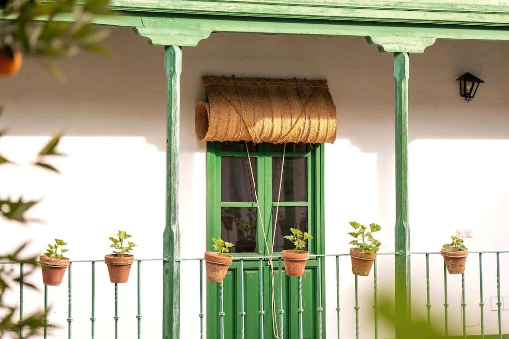 Apartamento A Estrenar En Calle Alcazares Sevilla Exterior foto